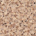 Carmel counter sample